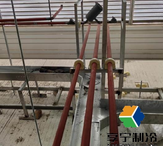 150平冷库报价揭秘:真实花费影响因素全面解析 150平冷库报价揭秘:真实花费影响因素全面解析